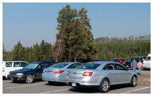 "Twentyone Yellowstone Parking Lots"