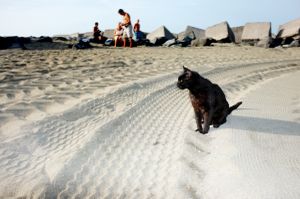 © Oliver Weber - Social Life at Beach