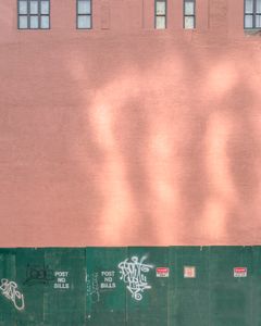 The Color of New York on the street