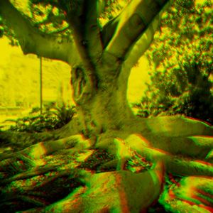 city tree