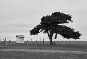 and the cover photo.