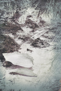 untitled from the series "Waiting for the Awakening"