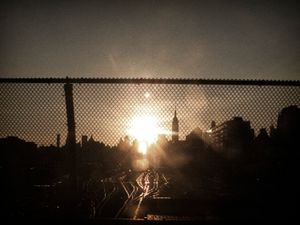 BROOKLYN BUZZ