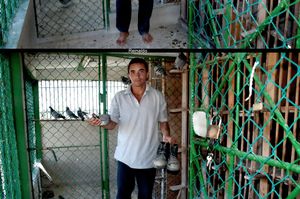 Reinaldo
