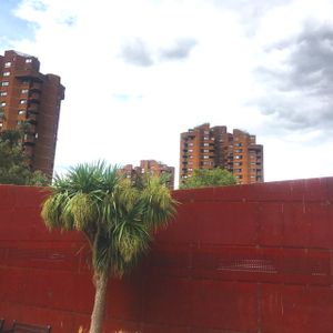 Rust Palm World's End