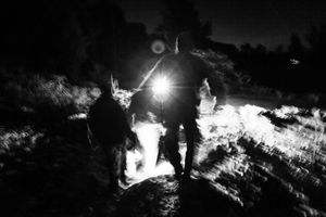 Human & Tiger Conflict