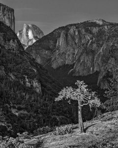 Half Dome Overlook, Yosemite National Park