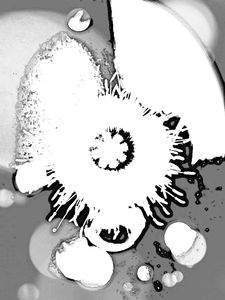 Metamorphosis 81