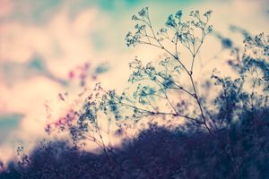 Sunset in pastel colors