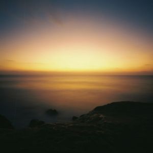 golden glow