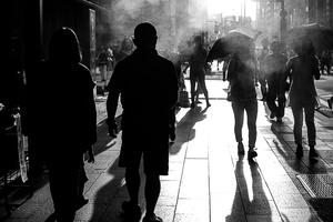 in the light of shadow