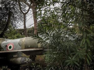 Military Jet in a garden