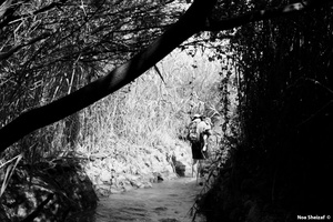 A day by the river 10
