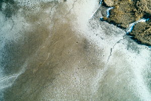 Lakeshore Operations | Ground Level Series #04