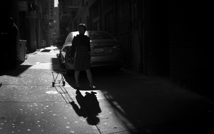 Entre luz.