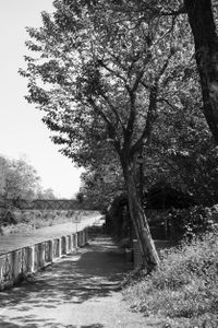 Path
