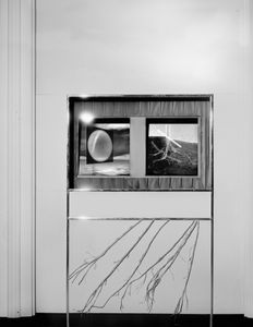 the idea of an exhibition, the roots of the pictures