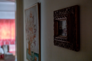 Domestic Impressions - Frames