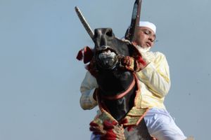 A rider draws his charging horse to a stop in an instant before shooting his musket into the air. Oued Merzeg, Morocco
