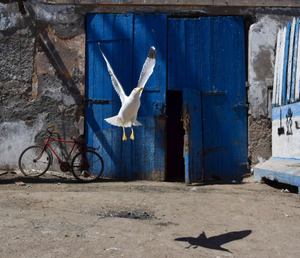 Essaouira