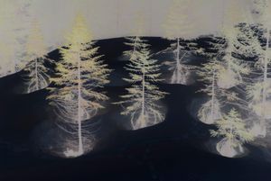 'Across the river at the left hand side, just before the iron gate', 2nd version.