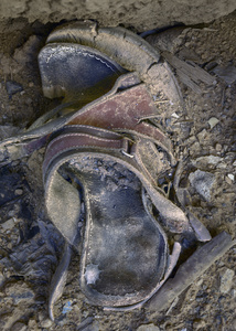 Forgotten Footsteps