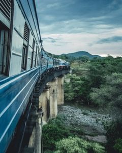 tazara.003