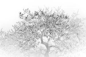 Old as Cold Water 4