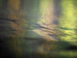 Monet