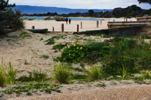 'Rye front beach