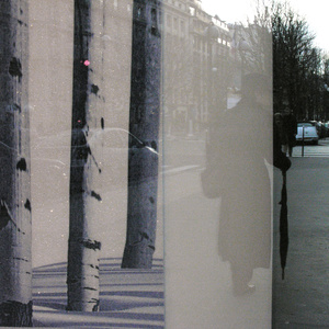 Window. Paris 8ème.