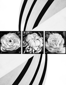 Three Blooms