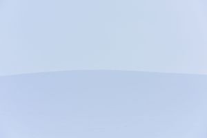 Terra Galicia