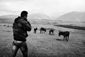 Murat and his donkeys