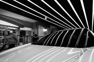 Lineales