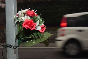 Fiori recisi