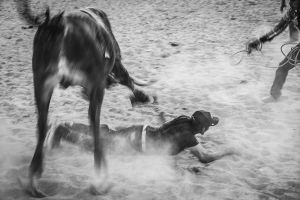 © Francisco Alcala Torreslanda