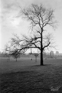 Hampstead Heath | 10
