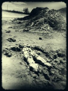 The Eventual Demise Of The Mud People © Jeff Alu