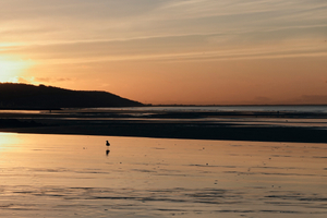 plage de Villers sur mer