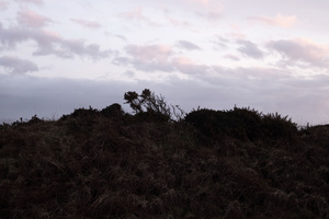 bae caerbwdy. off road abereiddi to solfach