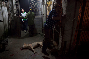 Inside a slaughter house.