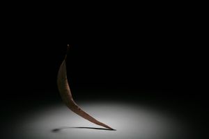 Libretto of Ballet (series)