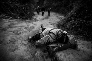 © Sebastian Castañeda