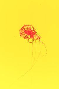 #4