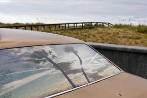 Sad Tropics (Gulf Coast Caddy)