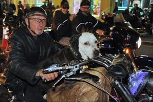 Man and Dog