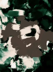 Metamorphosis 45