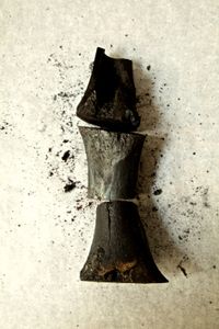 sculpture 3