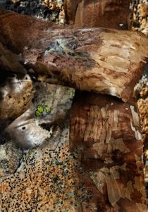 Amalgamated Fragmentations/ Assimilation 5